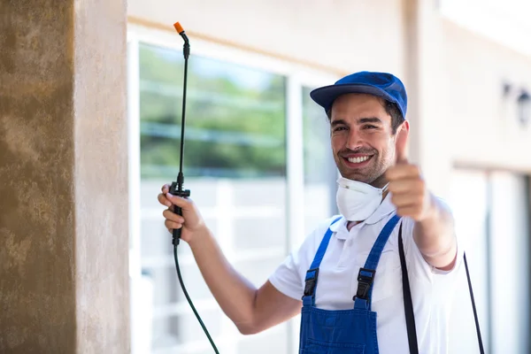 Mansfield Wasp Removal