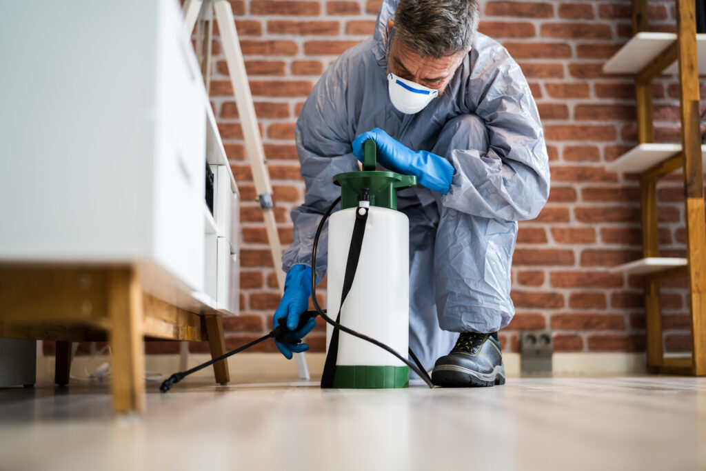 Mansfield Spider Control