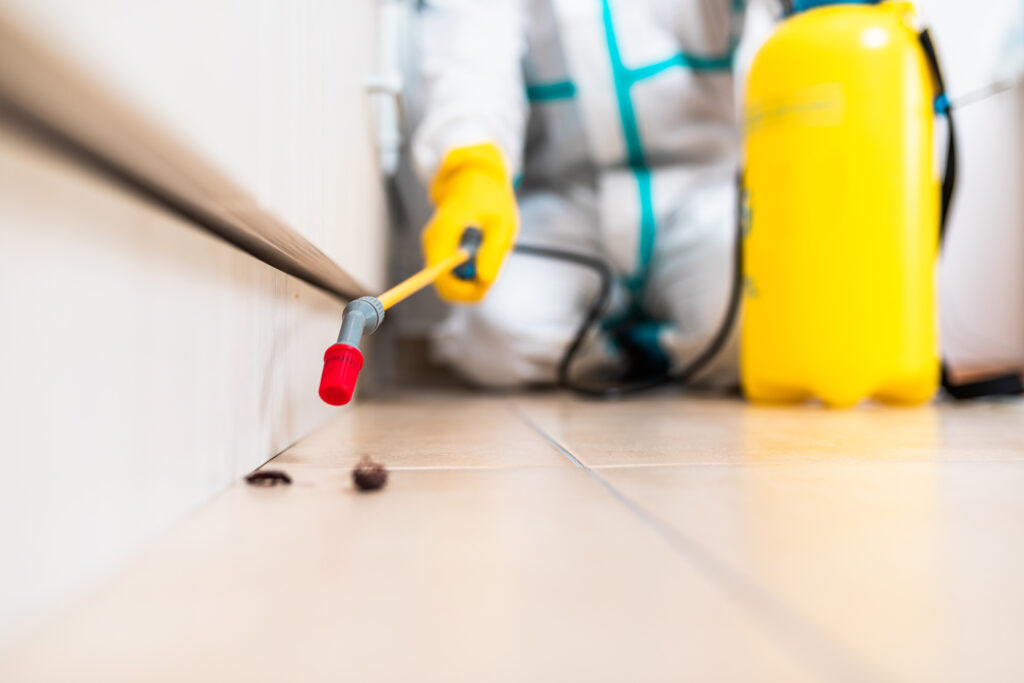 Mansfield Cockroach Experts