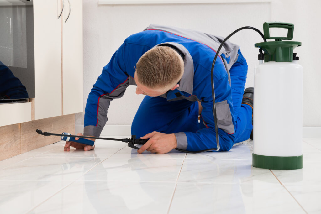 Mansfield Ant Control Xperts