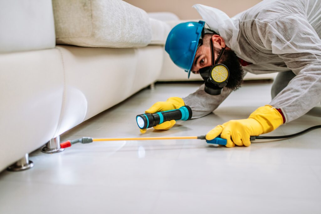 Mansfield Termite Control