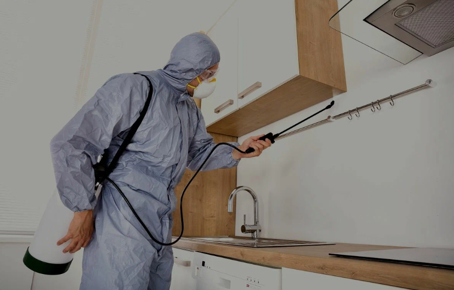Mansfield pest managment